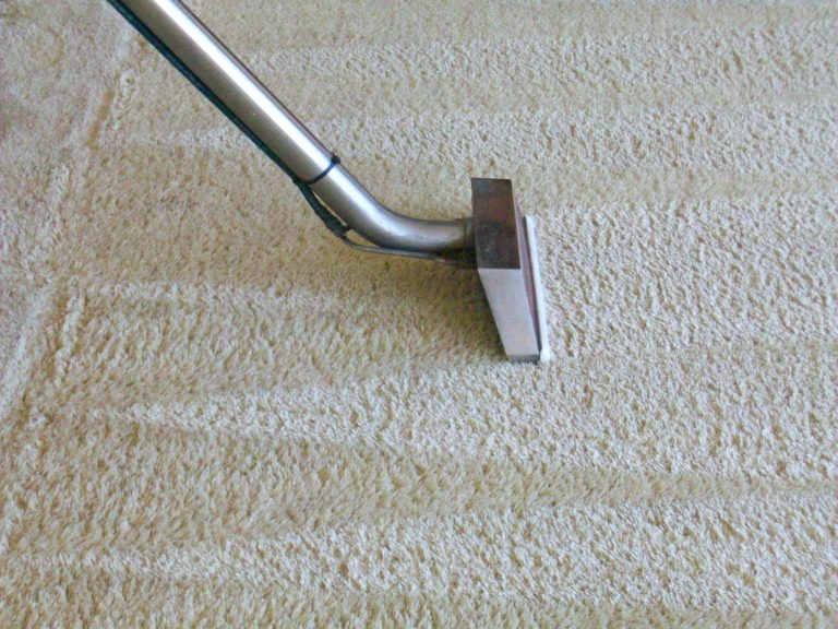 carpet cleaning service