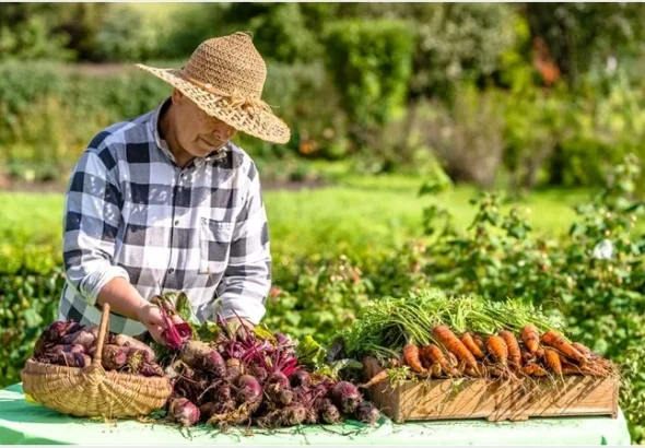 Dirt for Brains: How Our Agricultural Practices Affect Intelligence