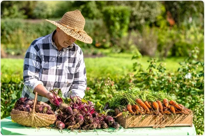 Dirt for Brains: How Our Agricultural Practices Affect Intelligence